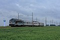 A1A A1A 68081&ROGER(2)